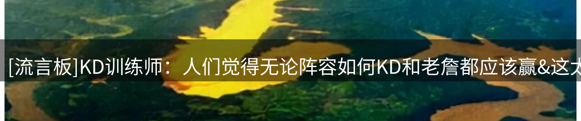 品牌推荐